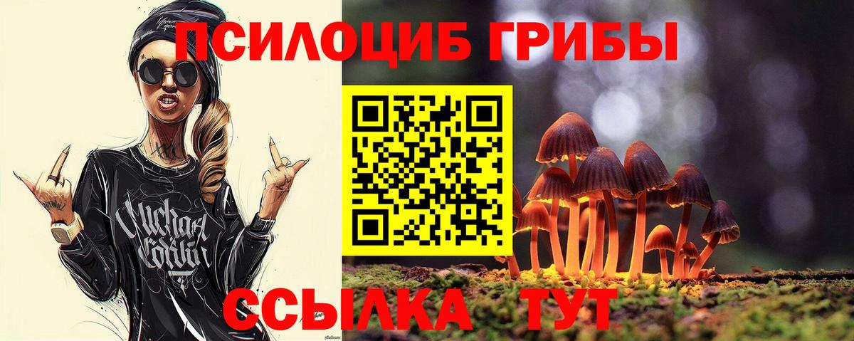 Галлюциногенные грибы мухоморы  где найти наркотики  Кизляр  Вход с VPN  Псилоцибиновые грибы GOLDEN TEACHER 